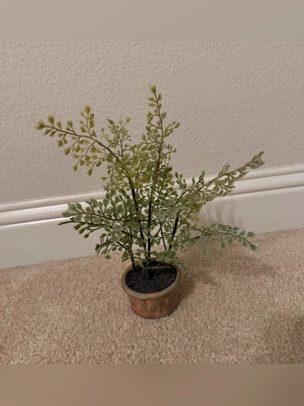 Pottery Barn artificial maidenhair fern small size